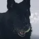 Coin image for BuHhjep5SK36rjoGx7qGjGiL9qHEXW2X31SfLRZypump