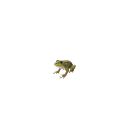 Coin image for BuduBxTMEv3EobjeYTfubcmGgHSLvjY2bZjAXkY5pump