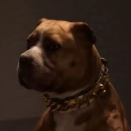 Coin image for BuxekNonmE4RRLDDSNHFRbJny7PTBVG5MsNbSVJQpump