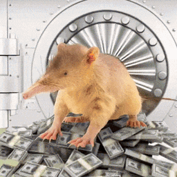 Coin image for Bvgz4AYPdQQCSjFvwwoRVUGScCFhW1ReMkhS2MXQpump