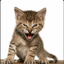 Coin image for Bw9RbvVasK3UqabdreehxkAJAQ9MiQPRJXT65BFNKDHP