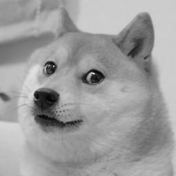 Coin image for BwYaYwSRb9eVnwfHTjcActhtVC4UXYeqT7U9iWh3pump