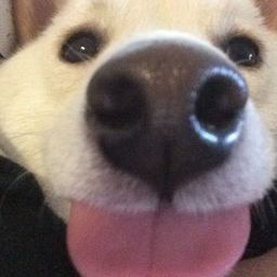 Coin image for BwhjdUv4uybnHfAw8QZu5m54yXxDnHD7PNneJqq1pump