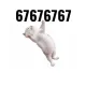 Coin image for BydBBhhWFWrYeGN7SFuUHm1GuGpUM4yeHngj88nDpump
