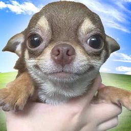 Coin image for Byks74cbQQxB5eAXiEMLLjsjHAF26GJrop2sdm4dpump