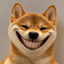 Coin image for BzPKQff4Ja7QLYmoky2C6qR5fMJ381FH2MpEbtpnpump