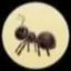 Coin image for C1zyctwSkZFwgrJxJXMojJXhudbewFY2V8KJJetxpump