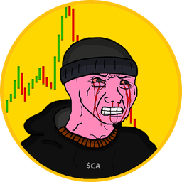 Coin image for C2iudFrBPHbHCEa46Np5fdx9RBRmwVptAnEYoVwPpump