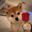 Coin image for C3UHxsFcnynwHLmRBpdX1dwB3t4FoBszEWUDGUr4pump