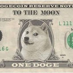 Coin image for C3oLLbKsp5kmBhfWsnUP7Q43WUqMA2dkC5A7ahHzpump