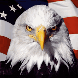 Coin image for C5TYHkRNt6KXpy6GE7W8LmL37dH5m23GsfmQUFmEpump