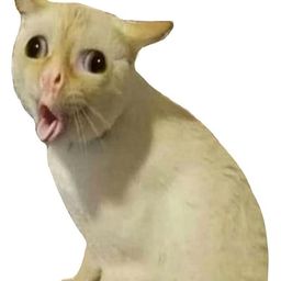 Coin image for C5YCSESjCeSJsQFMYrQzsgUJqJQQHWTpyz3gtSy4pump