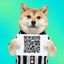 Coin image for C6Zkus6TjsPHGJ9QkuWY9uS436GeJsqJojn5MSD6pump