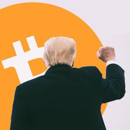 Coin image for C7KnDdrakypyKZDjMu2d3iFoxAEp2YJuL4Dtew5bpump
