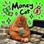 Coin image for C7dsCeyKYktixqCo3hdLojvZwdqb6RgjcGJJw9fFpump