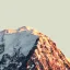 Coin image for C8Uq2fBMEMew4xGD2tnfHRYUR2fJtvHqwNm7BtQdpump