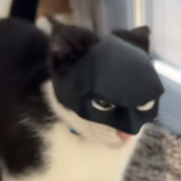 Coin image for C8fdew3RkKyhHdSYtLMVEJLmFdsmaeAhQ3nEZii7pump
