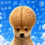 Coin image for C8mCHmbPTo2uDeXAKCXM2iD1DqBFV7HNdz1UZMLH63Em