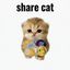 Coin image for C9L9mrZPVMeEnCW5a44H1yzPhs6Rcuiss8XW4zYwph91