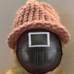 Coin image for CALHLMdBM1ubiCz3e935pccueJBYLzuM8syKkWESpump