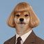 Coin image for CAetKrZhgacdmaQGRcvunxD2r7eAiJfNi98H11oFpump