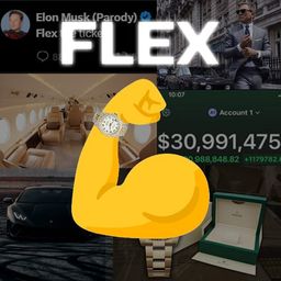Coin image for CAqK5PVYXM4DdGRXfPxgz1RMGzogs15SC4une7vLpump