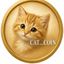 Coin image for CAtZvrk6KTv438fxA3CXBiYEwy45WzLjE8K6tUzNCoin