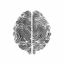 Coin image for CBCL3TDXwehxFZCG7PcUvKcJXuvNkSTdc7vM6xiTpump