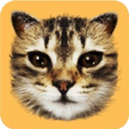 Coin image for CBJFaVt5Qh8wtjgYMAcJ9C38NTcdpt2SJw7CteMDpump