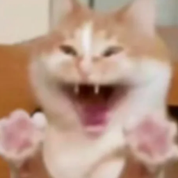 Coin image for CCg5pyfRgTPYPHHKkqVCJnJvCEBGdLZus4KLZ7fRpump