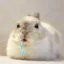 Coin image for CD3DJrXiU5yiSJG9GoNHEkVqQzTUtS7vQBVC1kggpump