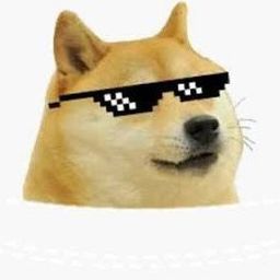 Coin image for CDcc6yodYAbXyCKRtrewskfaMfJevMLB4iJDHeFpump