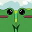 Coin image for CDdMmjLDp9dRu66Cmi4XxURSBBGkFYwEjPJZSE8W4SzT