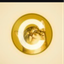 Coin image for CDpRxzkjQjHPeHiWst3d5wXJLzjPYVJyffjZE2aTpump