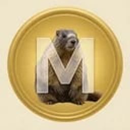 Coin image for CFSFJkpzNtxMFT4fW7mPpr3uQENgYDRMPnyuoFvfpump
