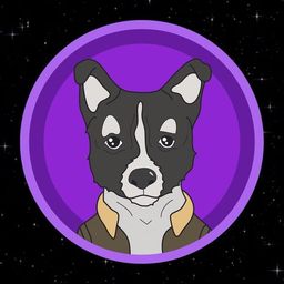 Coin image for CFZvKv86kpUpbRFfLebpbw1zNkMfUBWsq33jLGtKpump
