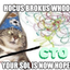 Coin image for CFjNLhZD5i4pg7qMuF9r8JMkdQBfXgfXHNz2jLM9pump