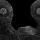 Coin image for CGHe9WQnYdSkDfgvF2gc5RdH4foPPfGdVo2FtEmD1kwy