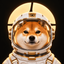 Coin image for CHHck9BqWky5hk5HZgASZvZrRhCHzSH8c4i4btEUsJzP