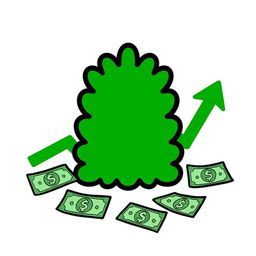 Coin image for CHYSJTZpneMrdoVGxeGDWkE35fR6AKbbgF7CyfoWpump