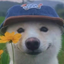 Coin image for CHaDfHiEvQZynyv7hMEydXhuP2rtKumhc5ZHEg1fpump