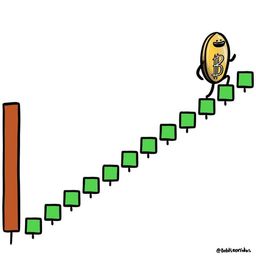 Coin image for CJaraDjSwXzU2KfReUErqnVTwNe9RkF2Qm5SbtZpump