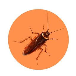 Coin image for CK5W1avteToMMT2eViUBEK5cbGDBd3b5Fk8KhxDXpump