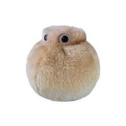Coin image for CKgyEwrSYGaYFypGAYpDy7SmdXAJfaerdFjsfmKopump