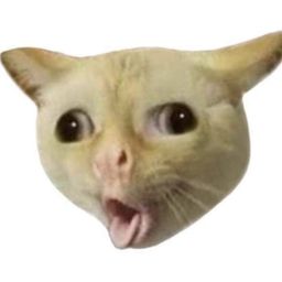 Coin image for CLXvrjjzT4NBVWmDFfrv2YhSTnFrJokERGDidykAEDd2