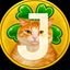 Coin image for CLfp7ceZrWFyG7ryEhtM9o4oyZ7U6y758LbQaAkYpump
