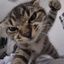 Coin image for CLxs97iCWJnwzQcEarw2LQkQBqHBxXJdgbHk58bCQmdi