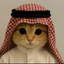 Coin image for CMUXSKi3fCyeq9GFzbKYToCJo4K36Qqaw4JZuDJt6e4H