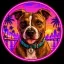 Coin image for CNnaUArWvFrLX1YYZRbwgVE4U9gSUq1ECNbJpcXXpump