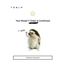 Coin image for CPbr6NjoHNdBULREdXGiy4ZJF1B63DgXTKvvRSCr6kRf